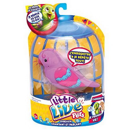 Little Live Pets Bird - Cat Delicate