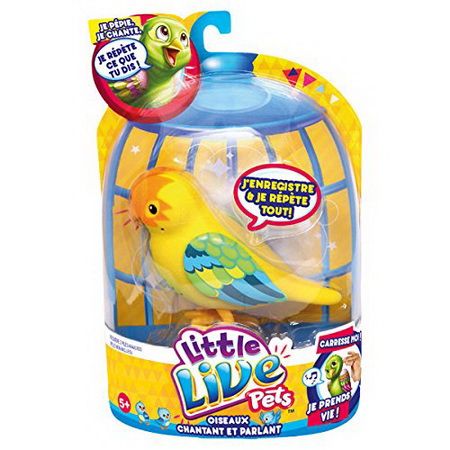 Little Live Pets Bird - Martin Coquin
