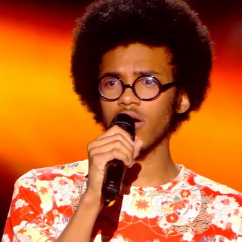 Julien replay The Voice - 17 janvier 2015